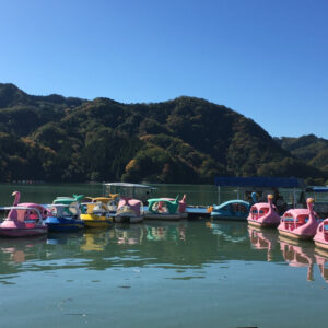 神奈川県立相模湖公園