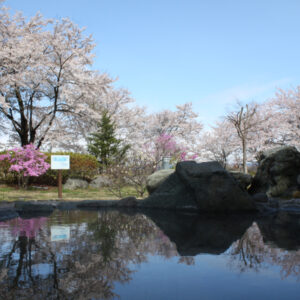 藤野やまなみ温泉