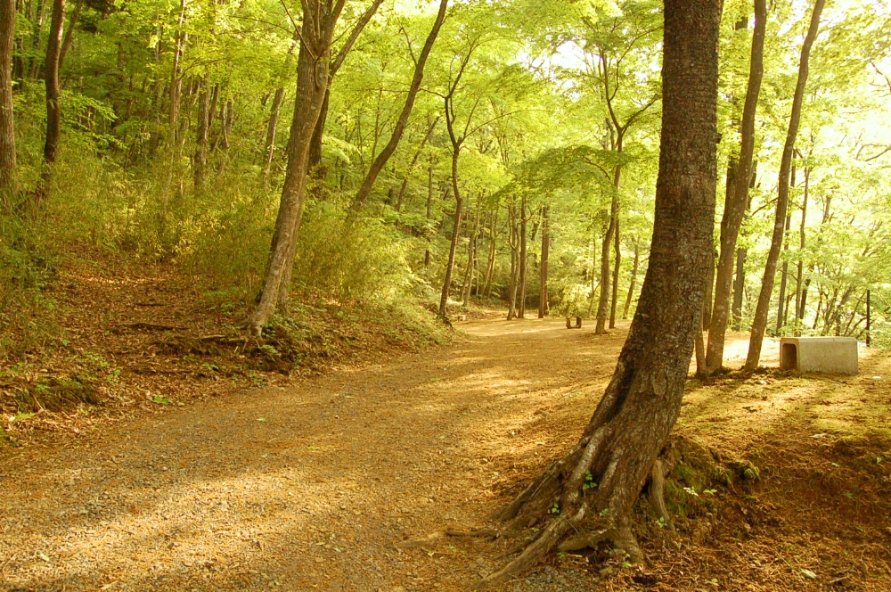 相模湖休養村キャンプ場