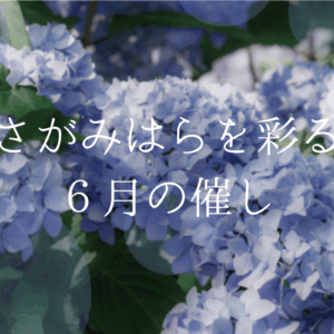 さがみはらを彩る６月の催し