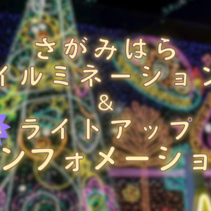イルミネーション＆ライトアップ スポット紹介